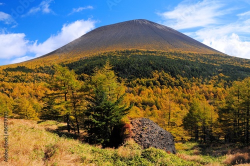 Wallpaper Mural 浅間山の黄葉 Torontodigital.ca