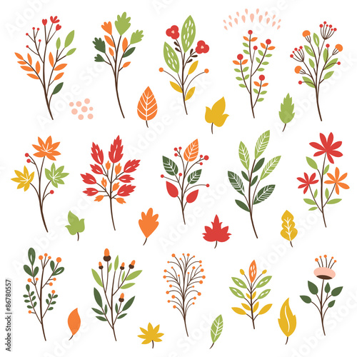 Colorful floral collection with leaves and flowers, autumn leaves