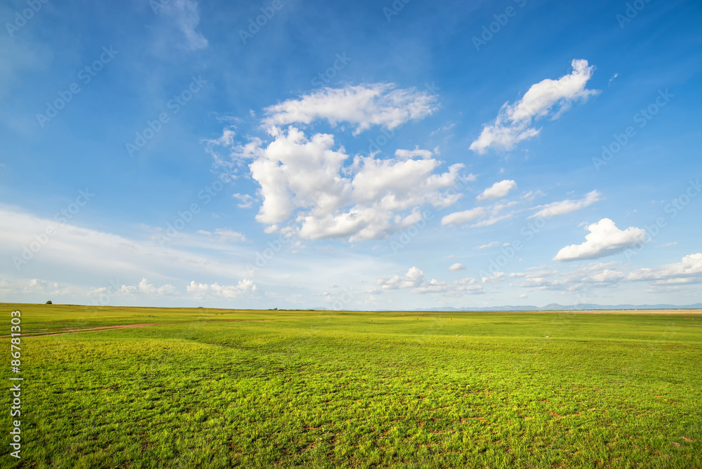 Blue sky and green grass field Blue sky and green grass field
