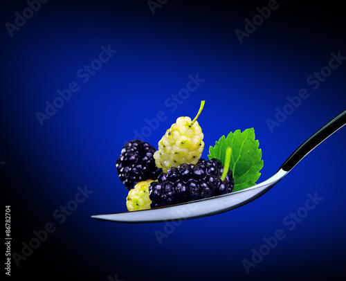 blue and white mulberry on a blue background