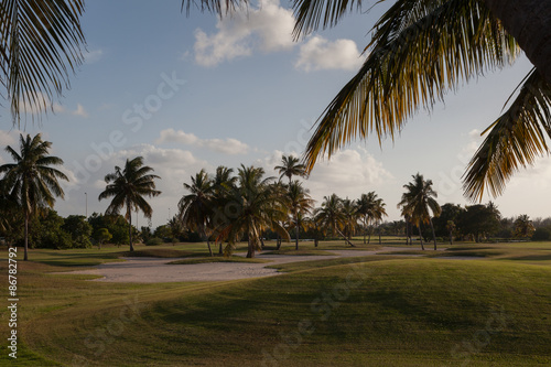 Canvas Print Golf club. Fields golf course.