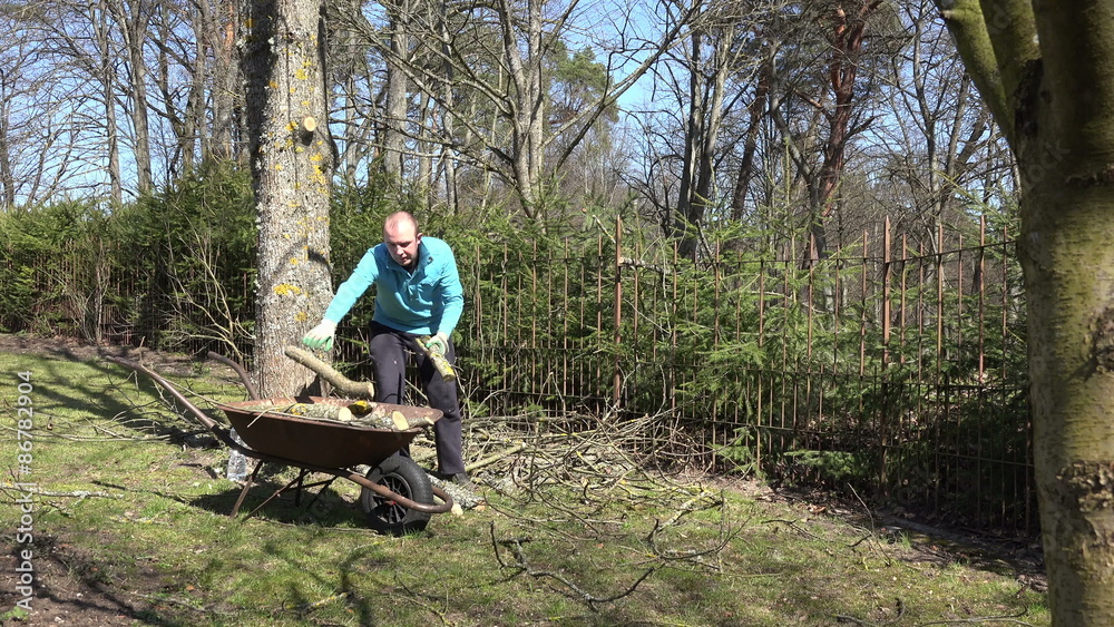 professional garden worker gather dry cut tree log and branch in old rural wheelbarrow. Static tripod shot. 4K UHD video clip.
professional garden worker gather dry cut tree log and branch in old rural wheelbarrow. Static tripod shot. 4K UHD video clip.