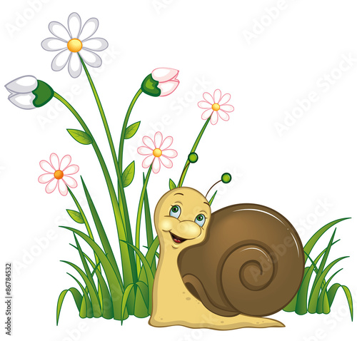 Weinbergschnecke in der Wiese