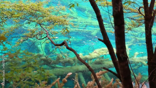 clear blue lake in jiuzhaigou valley national park in china dolly shot