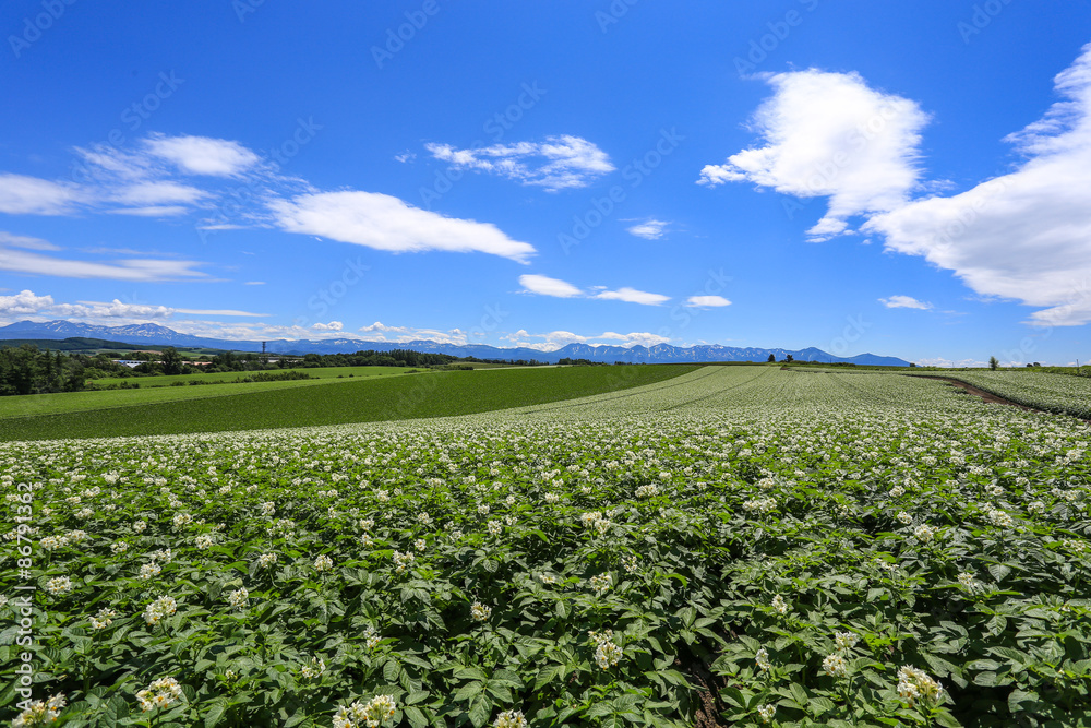 agriculture at remote area, Hokkaido