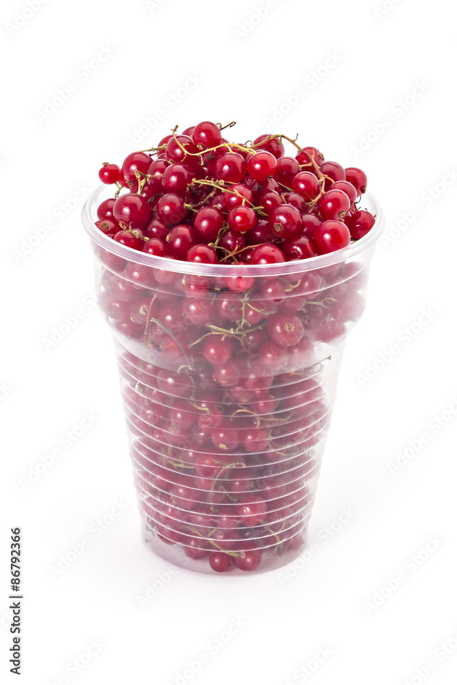 Fresh ripe organic red currants in a plastic glass on a white background