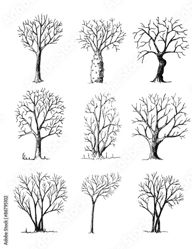 Hand drawn trees isolated on white