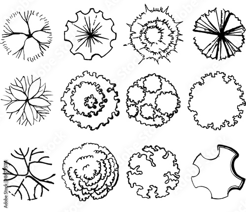 A set of treetop symbols, for architectural or landscape design