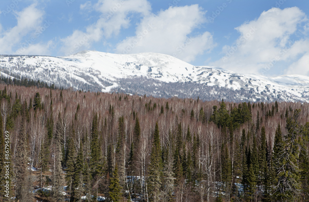 Mountain Landscape