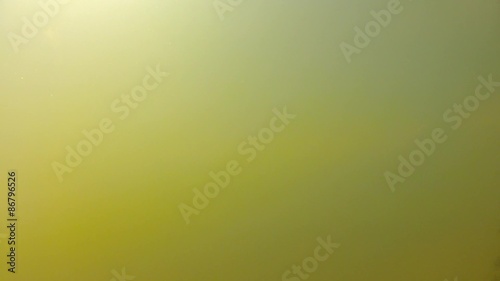 an underwater shot of murky water in a pond