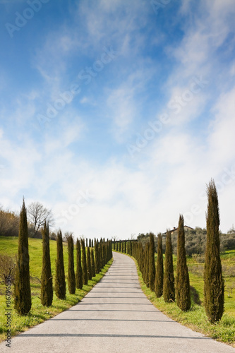 Country Tuscany road with cypresses
