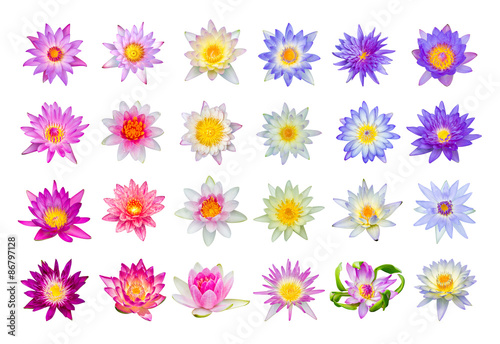Fototapeta Naklejka Na Ścianę i Meble -  Water lily or lotus flower set 24-1