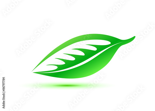 green leaf symbol vector icon sign illustration