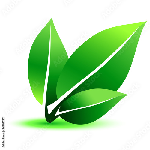 green leaf symbol vector icon sign illustration