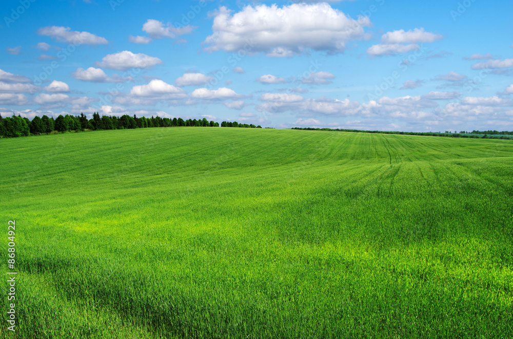 green field