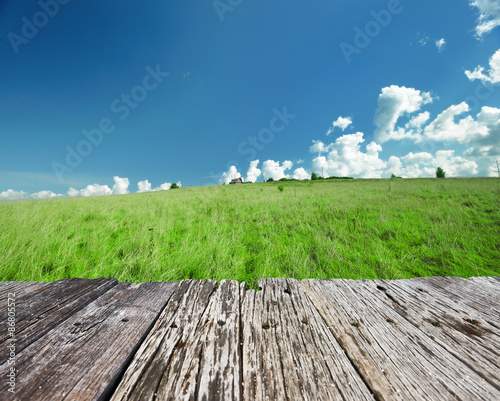 Fototapeta Naklejka Na Ścianę i Meble -  Green landscape