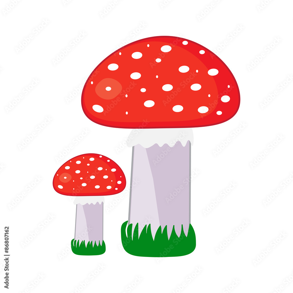 Mushrooms with a red hat