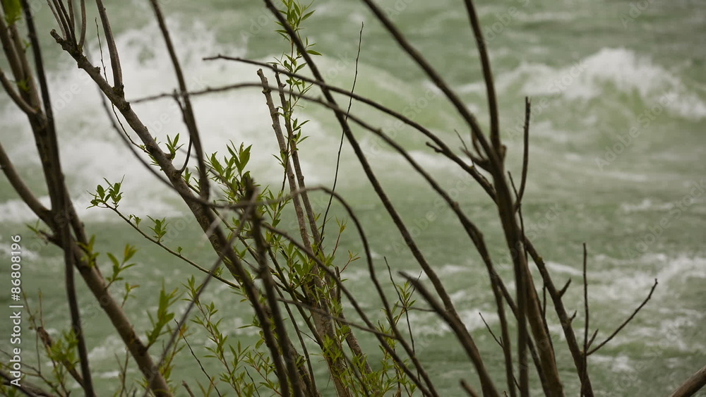 Behind the bush watching turbulent river