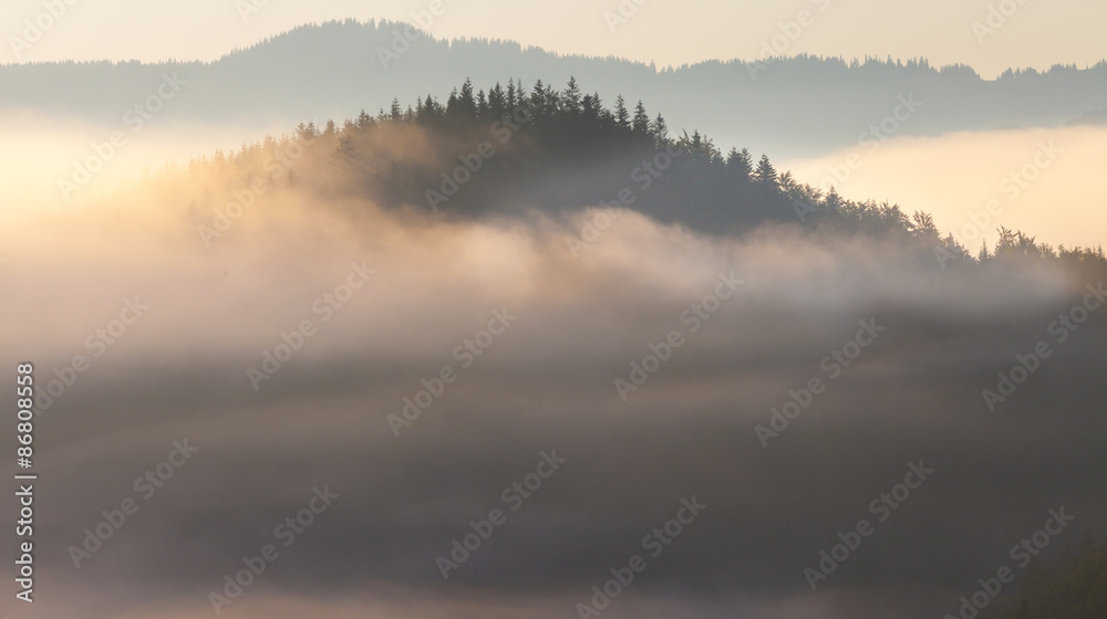 Fototapeta premium Beautiful sunrise with the morning mist