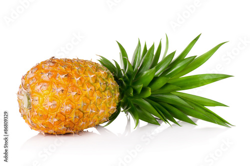 Pineapple isolated