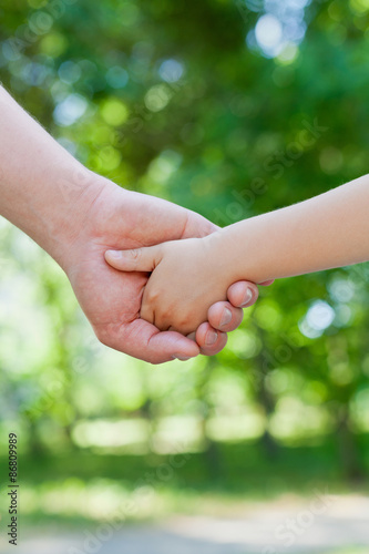 Father holds the hand of a little child in sunny park outdoor, united family concept, nature background, shallow dof © juliasudnitskaya