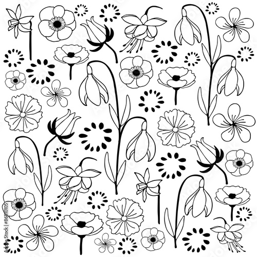 leaf and flower set 4 hand drawn illustration black & white variation