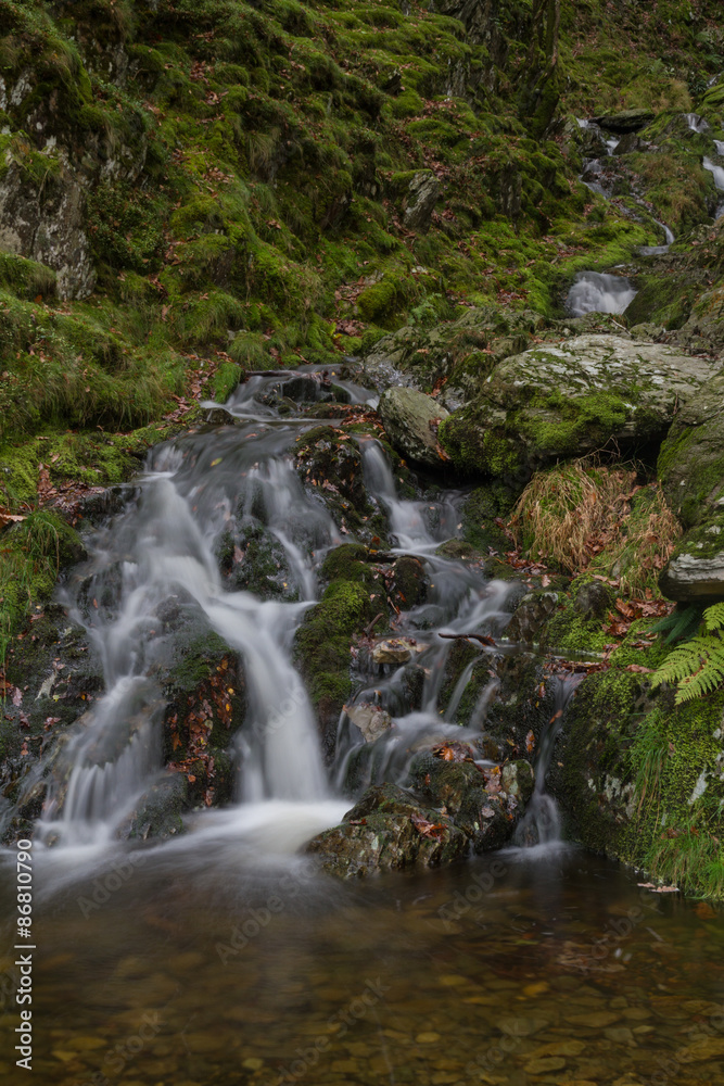 Fototapeta premium Small waterfall in mossy woodland.