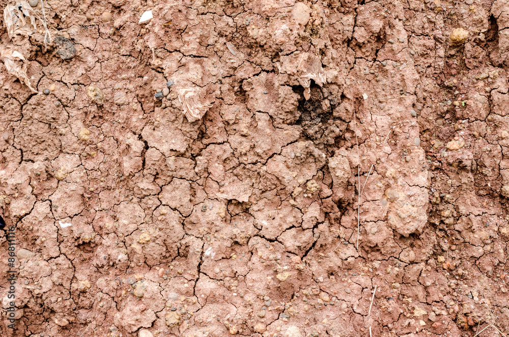 Fototapeta premium Crack soil on dry season, Effect of Global worming, Soil backgro