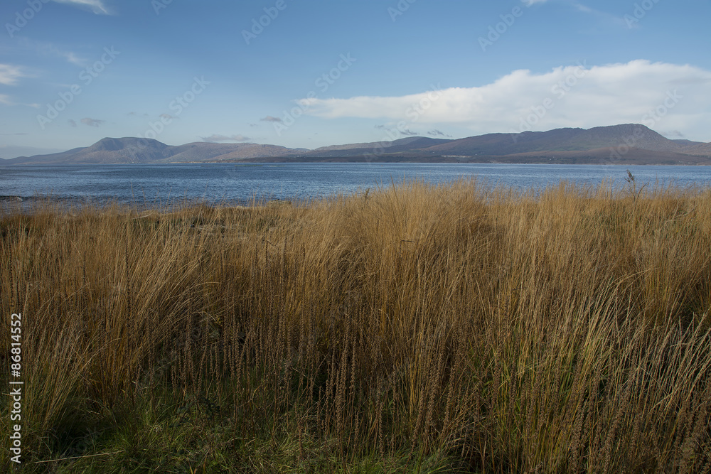 Obraz premium Bantry Bay in Winter