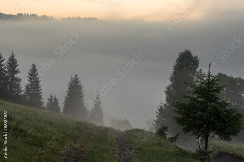 Beautiful sunrise with the morning mist