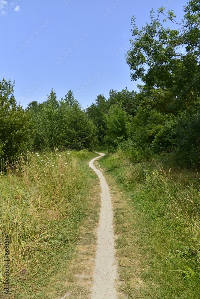 Chemin à travers la forêt de l'ile Marquet sur la Charente à Angoulême 