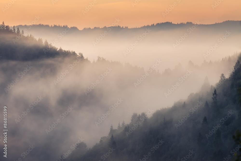 Fototapeta premium Beautiful sunrise with the morning mist