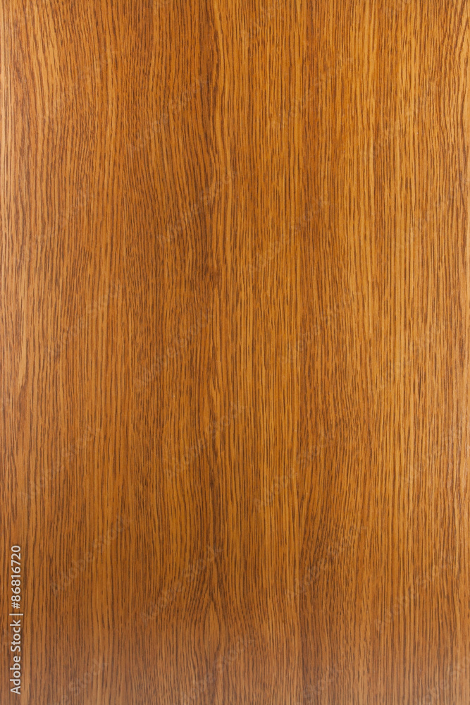 texture of oak texture of oak