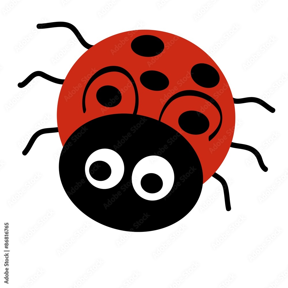 Fototapeta premium pszczoła,biedronka,owady