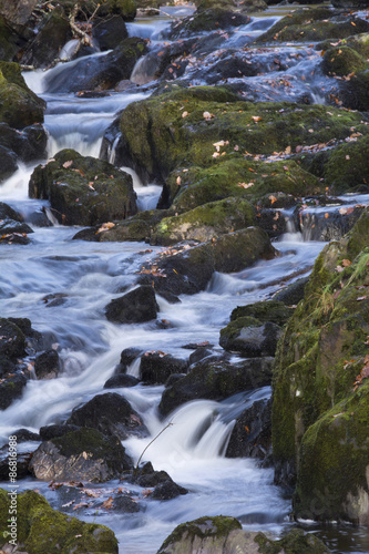 Stream in Woodland