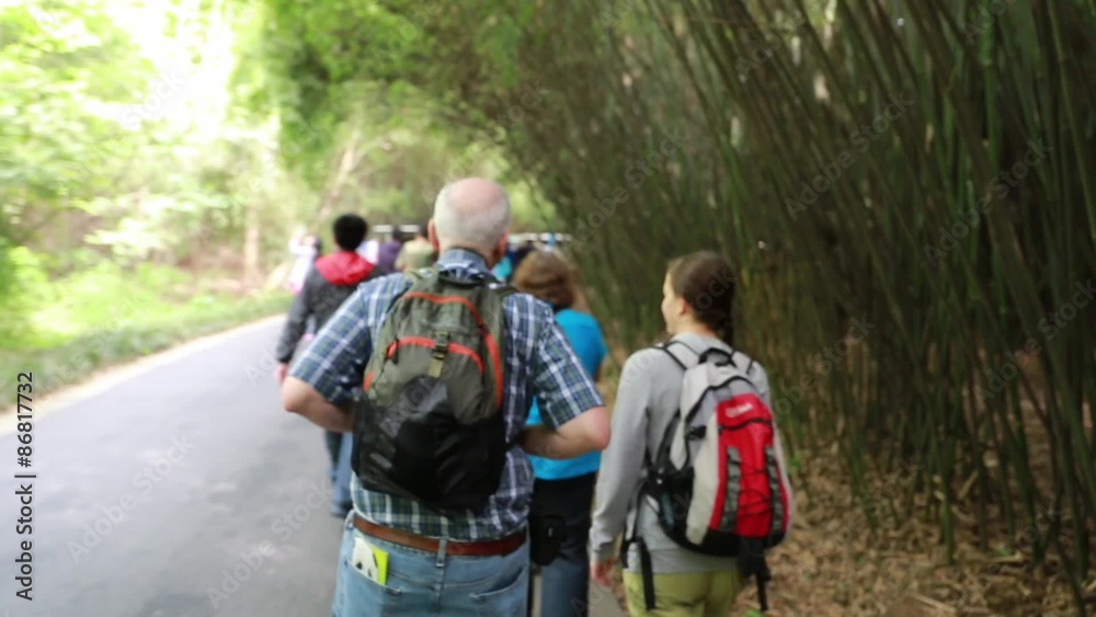 tourists walking at the giant panda breeding research center in chengdu tourists walking at the giant panda breeding research center in chengdu