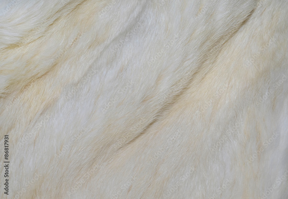 white fur texture background white fur texture background