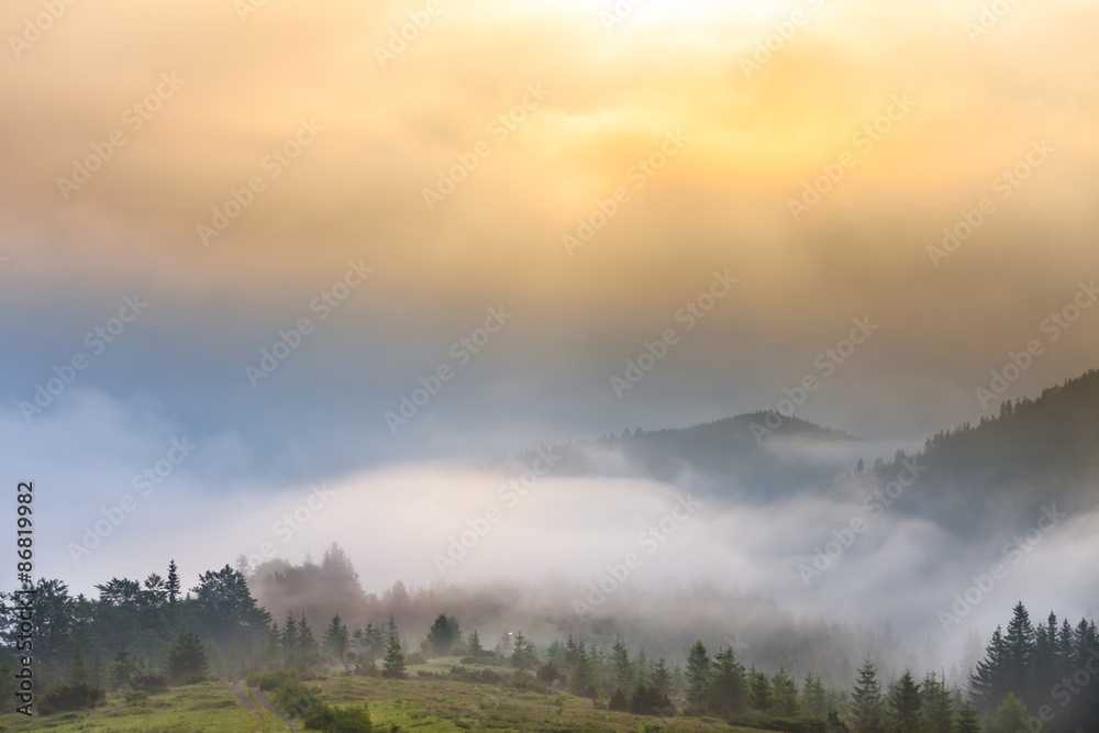 Misty morning in the Carpathians Misty morning in the Carpathians