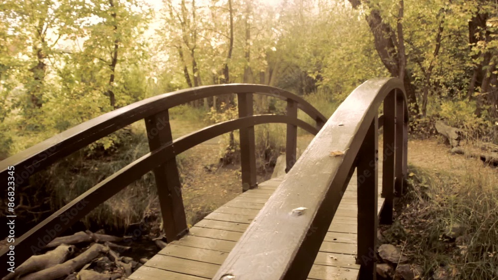 Footbridge over stream and fall leaves dolly shot Footbridge over stream and fall leaves dolly shot