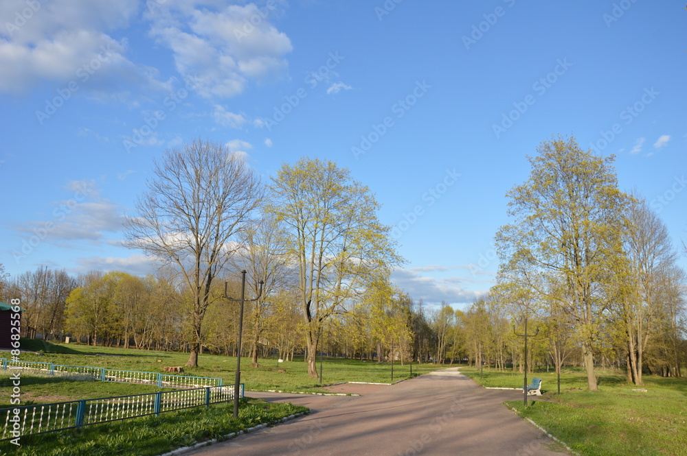 Fototapeta premium Место отдыха горожан-парк