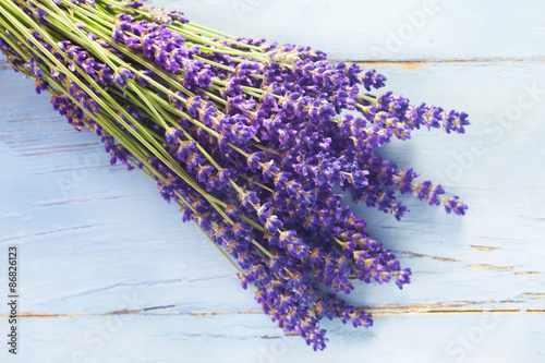 Fototapeta Naklejka Na Ścianę i Meble -  Lavender