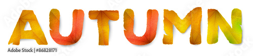 Vector Autumn word, made from autumn leaves, isolated on white