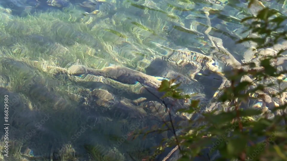 a lake in jiuzhaigou valley national park in china dolly a lake in jiuzhaigou valley national park in china dolly
