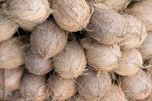 Canvas Print Stack of fresh brown coconuts in natural tropical light at the outdoor Devaraja
