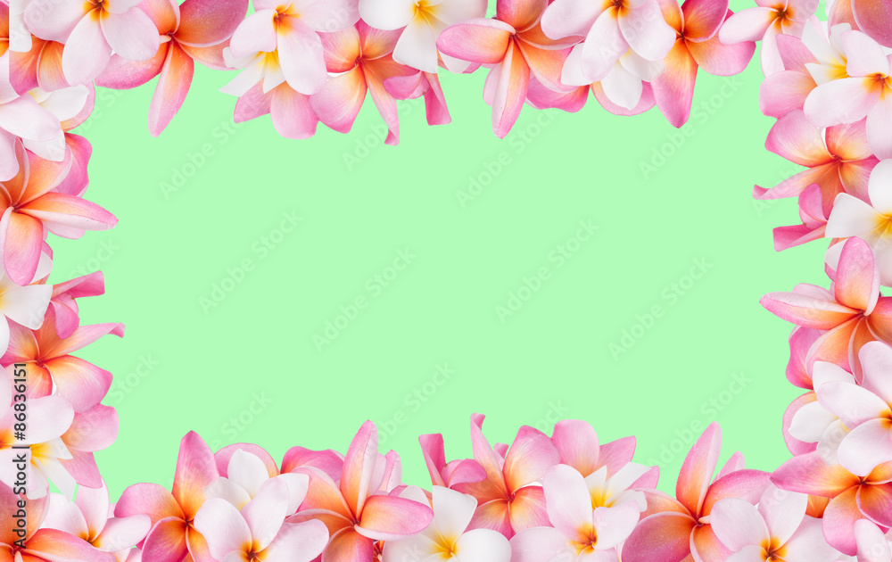 Frangipani flowers, Spa massage