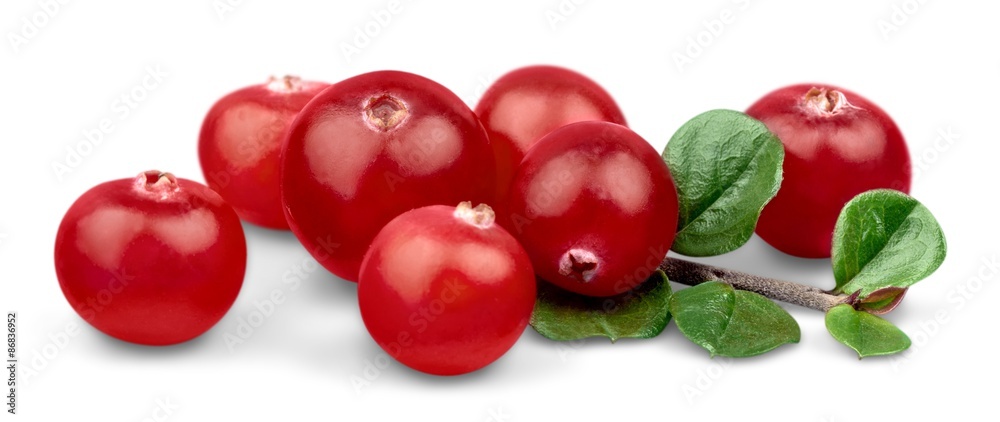 Cranberry, Fruit, Isolated. Cranberry, Fruit, Isolated.