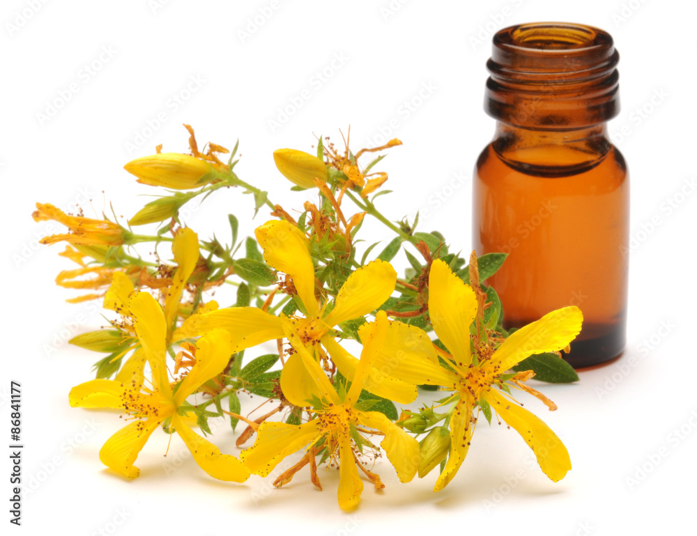 hypericum-perforatum-perforate-st-john-s-wort-echtes-johanniskraut