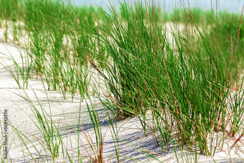 White sand dunes with green grass.