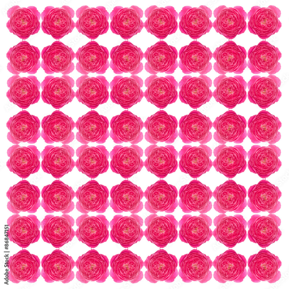 Damask rose seamless pattern background Damask rose seamless pattern background