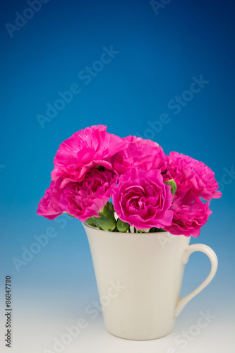 Wallpaper Mural カーネーション Torontodigital.ca